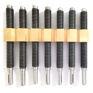 Diameter 20mm Pitch 4mm Trapezoidal Lead Screw with Black Oxide