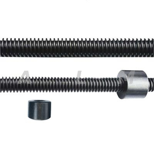 Trapezoidal Tr10x10 Pitch 2mm High Quality Black Coating Lead Screw 
